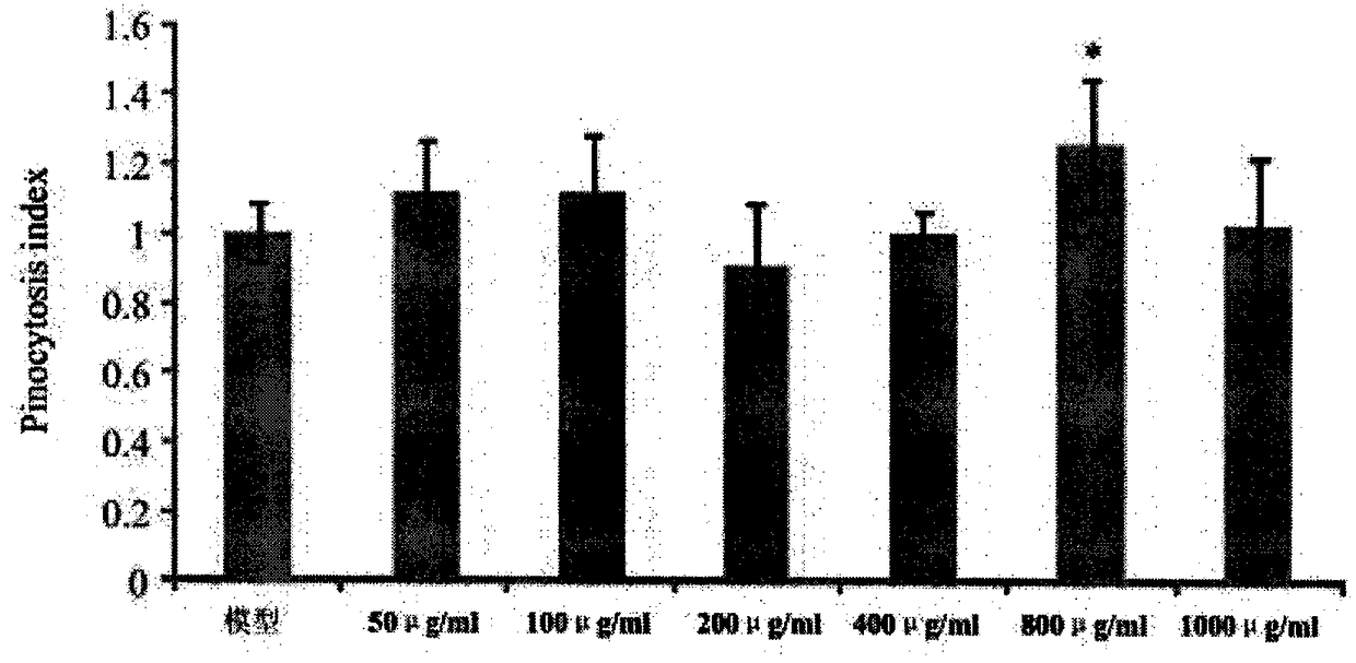 Composition having efficacy of delaying muscle attenuation and enhancing immunity