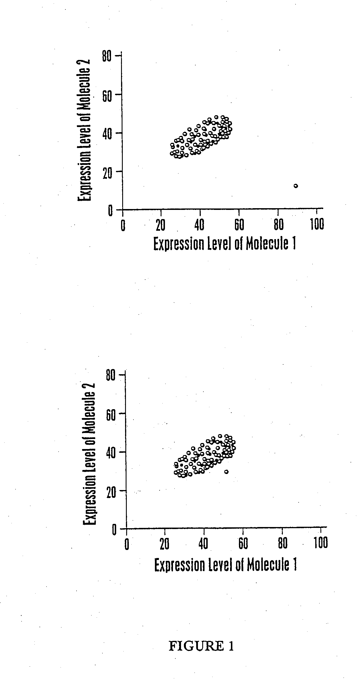 Multiparameter analysis for drug response and related methods