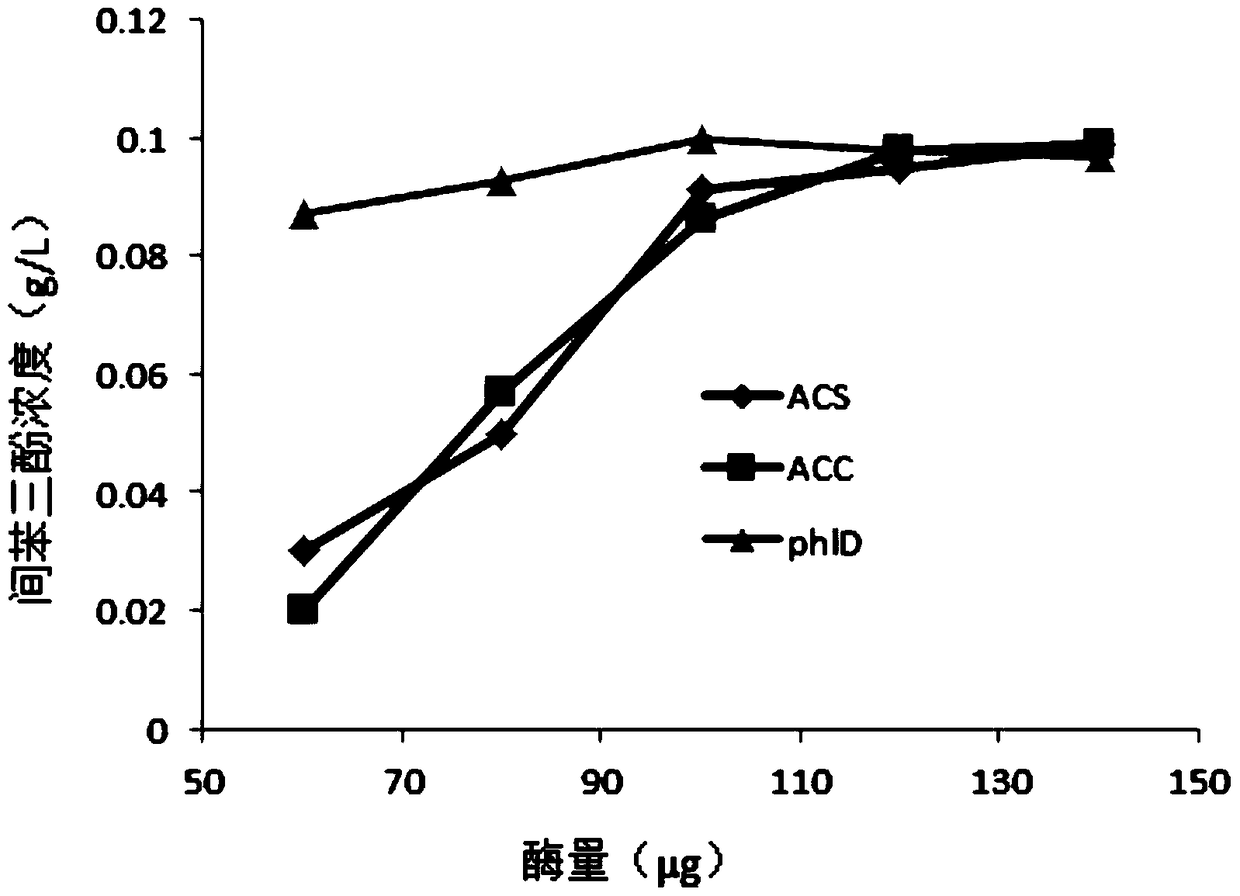 A kind of method and application of in vitro enzyme reaction synthesis phloroglucinol