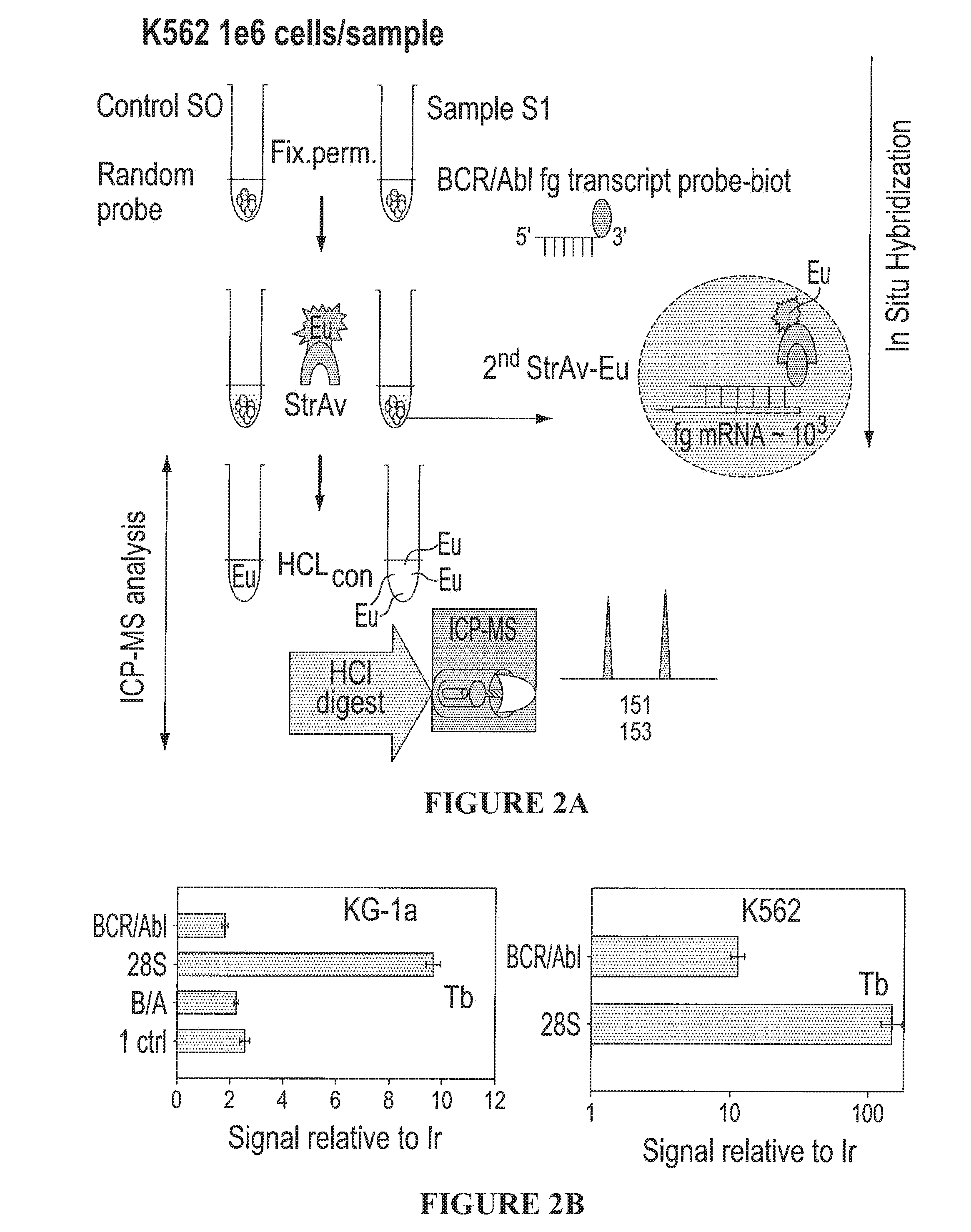 Methods of Using Inductively Coupled Plasma Mass Spectroscopy Systems for Analyzing a Cellular Sample