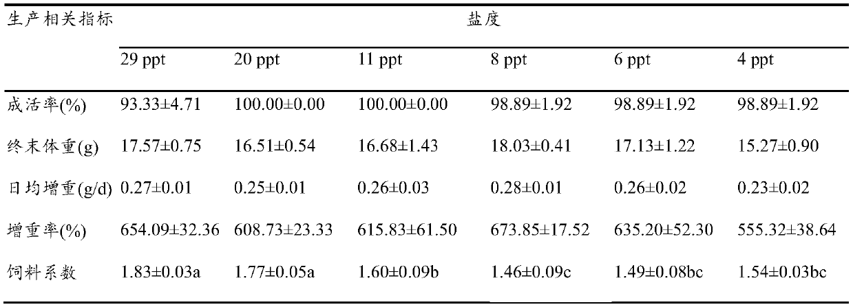 Breeding method for decreasing feed coefficient of light-colored nibea albiflora and improving quality of swimming bladders