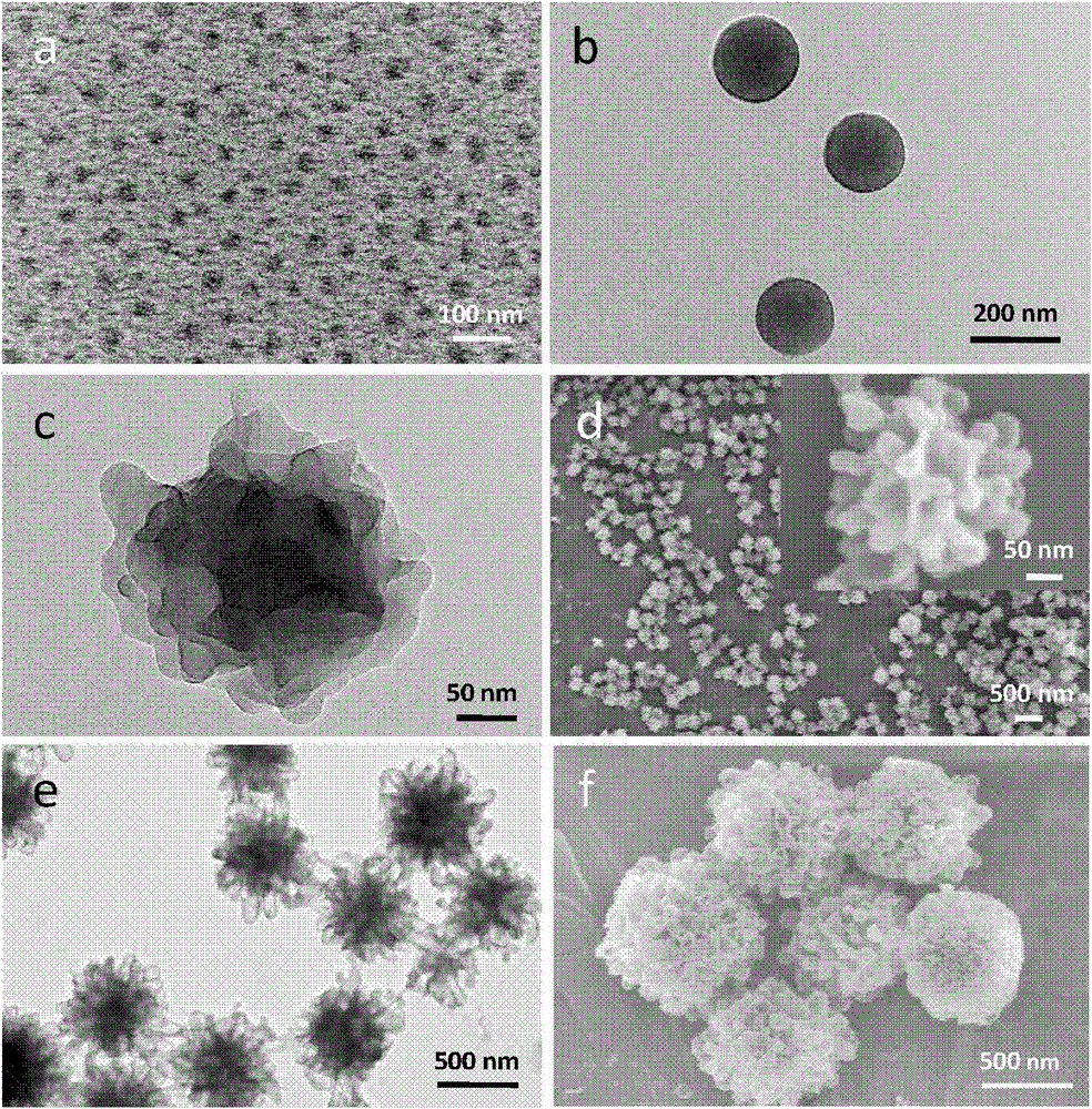 Method for preparing nano particles of camptothecin polymeric prodrug amphipathic molecules as well as product and application of nano particles