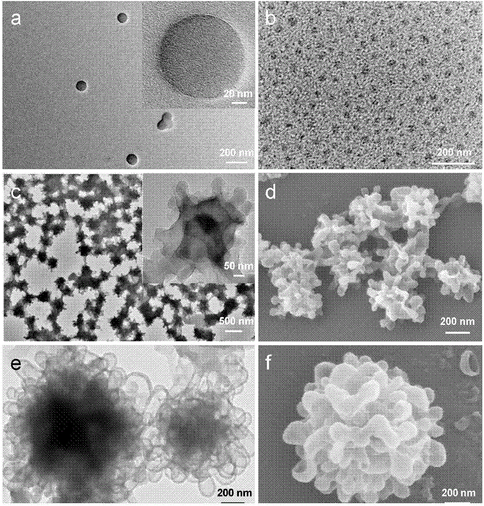 Method for preparing nano particles of camptothecin polymeric prodrug amphipathic molecules as well as product and application of nano particles