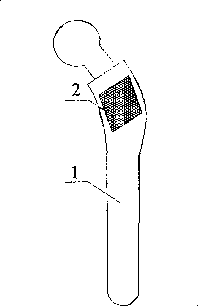 Local spatial grid structure artificial joint prosthesis and preparation method thereof