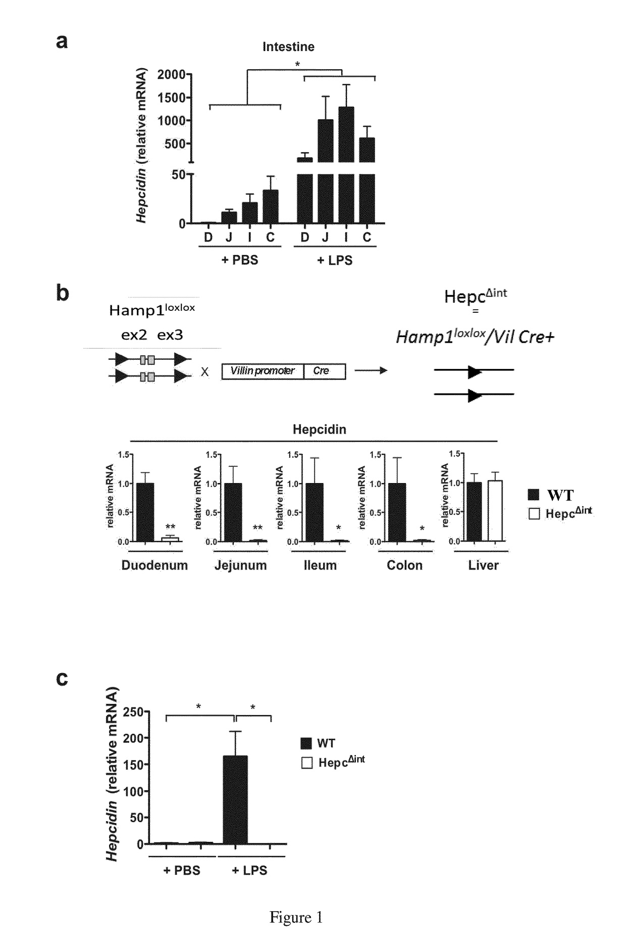 Hepcidin antagonists for use in the treatment of inflammation