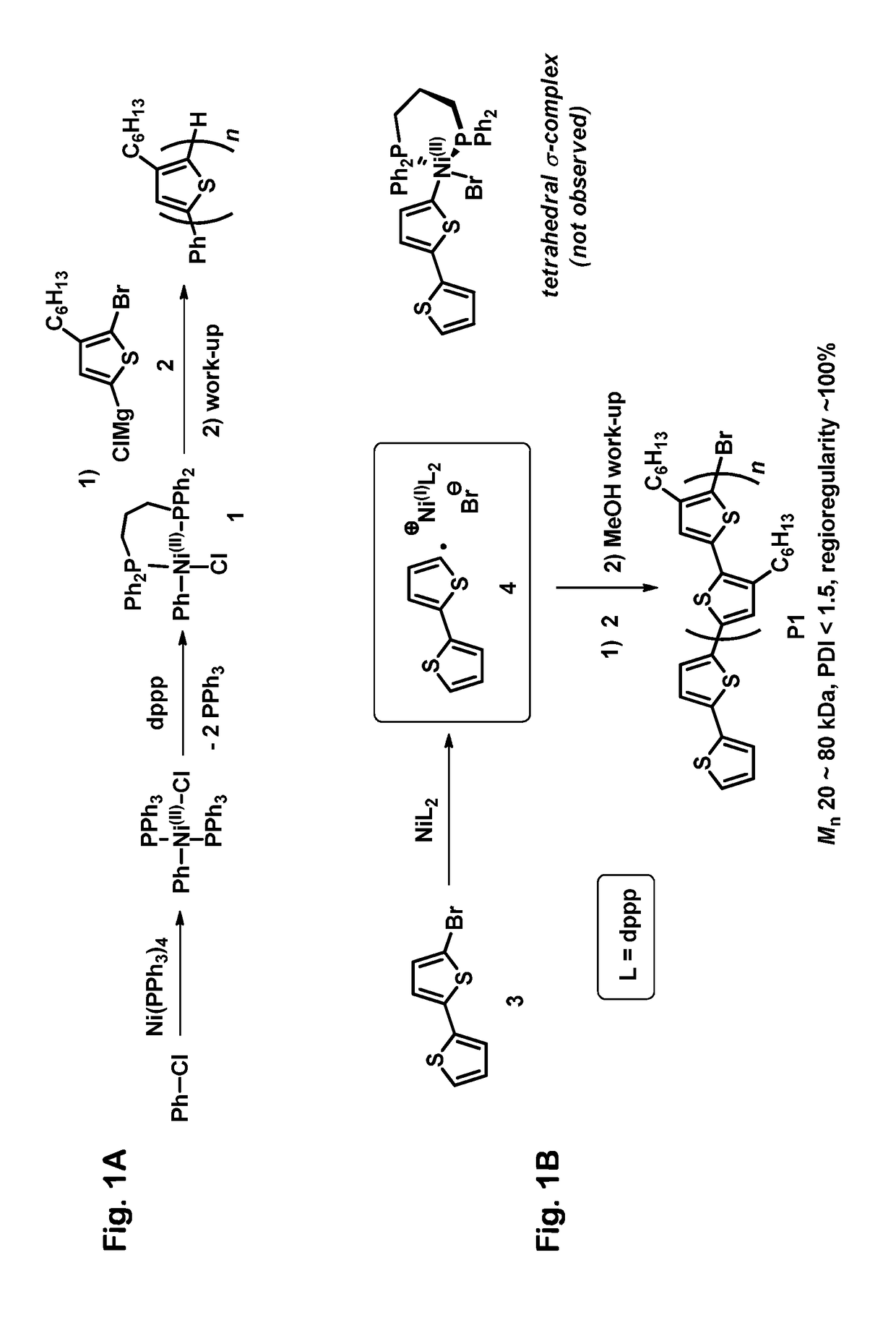 Controlled radical polymerization, and catalysts useful therein