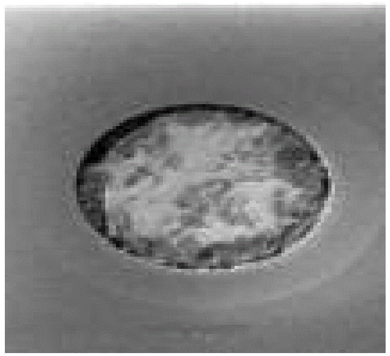 Method for forming through silicon via