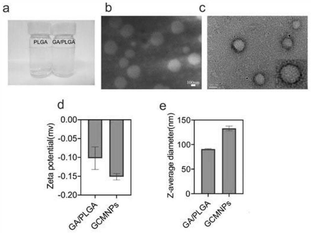 Anti-cancer nano-drug with immune activation function and preparation method thereof