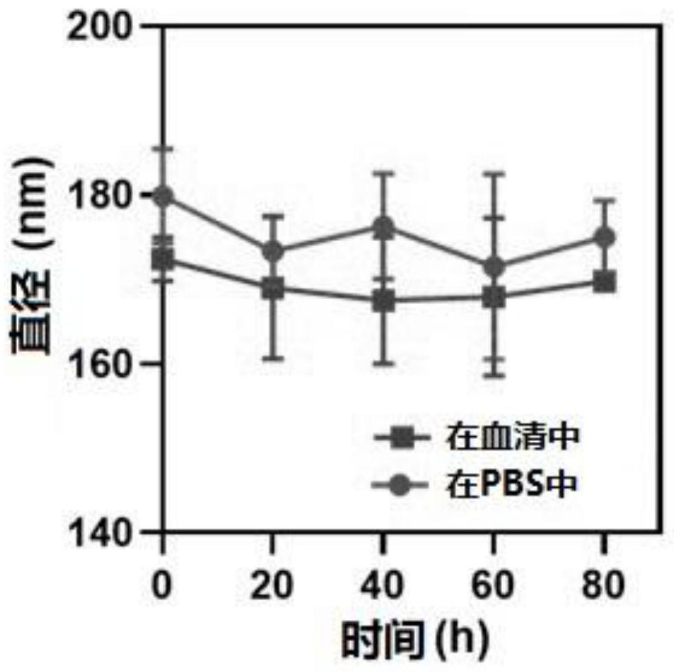 Anti-cancer nano-drug with immune activation function and preparation method thereof