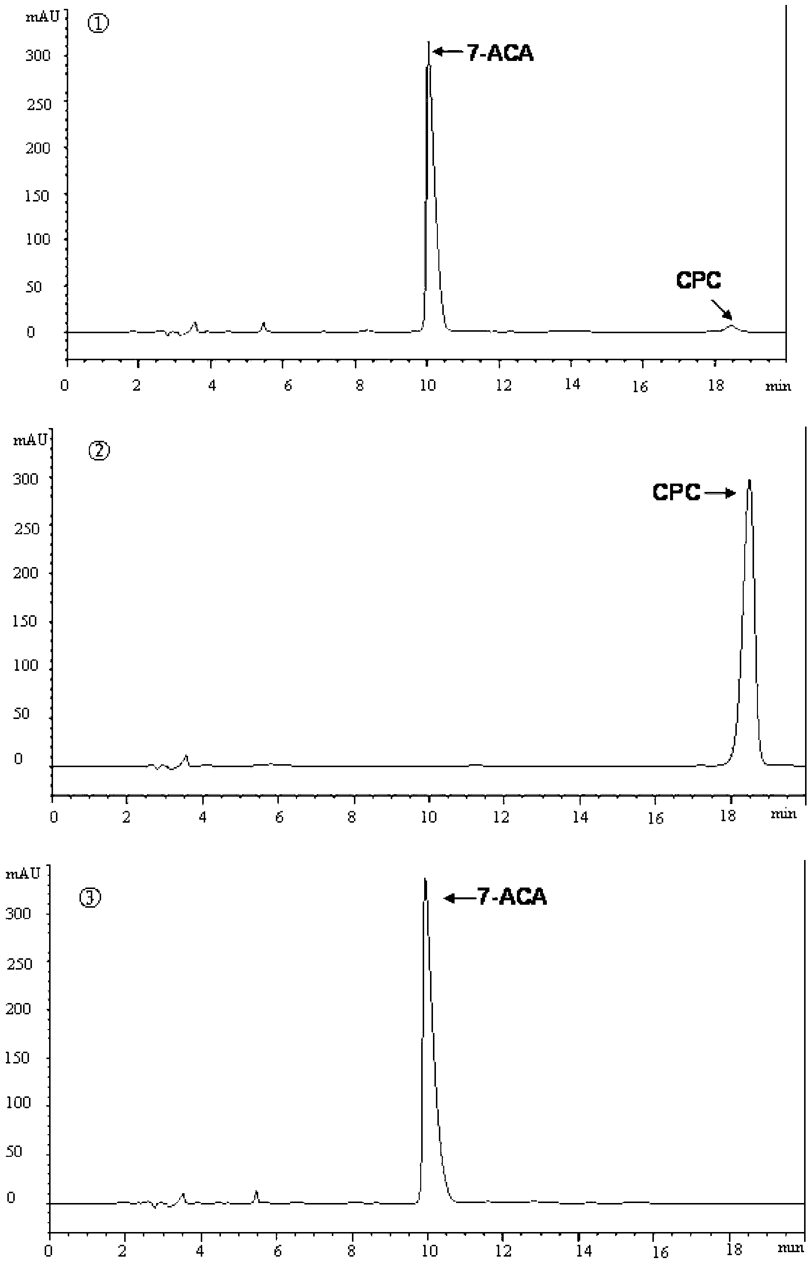 Cephalosporin C acylase mutant as well as coding gene and application thereof
