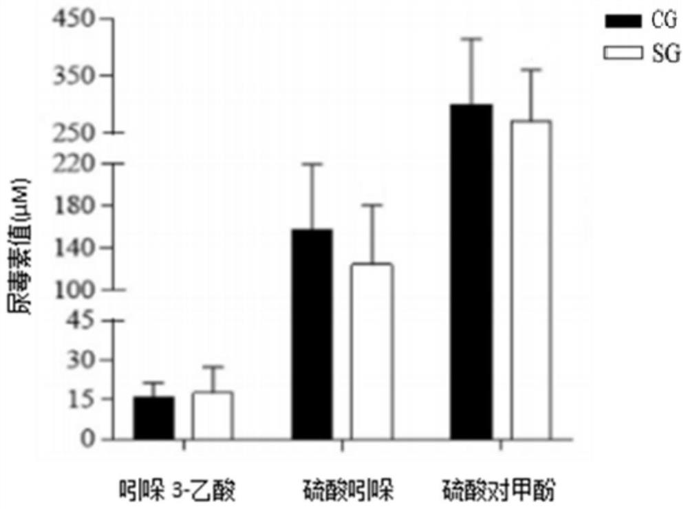 Bifidobacterium longum dietary composition for intervening chronic nephritis and uremia and application