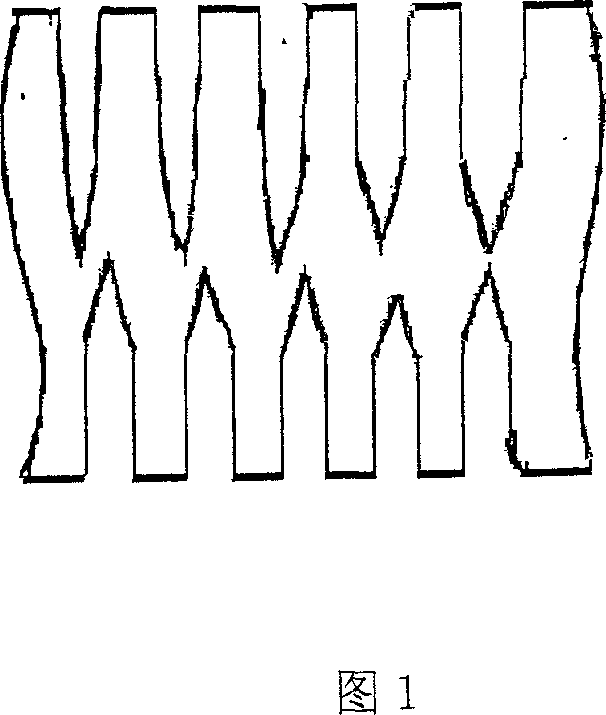 Corrosion method for expanding face of lead anode foils in branch holes