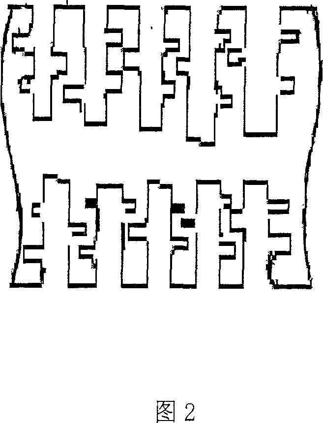 Corrosion method for expanding face of lead anode foils in branch holes