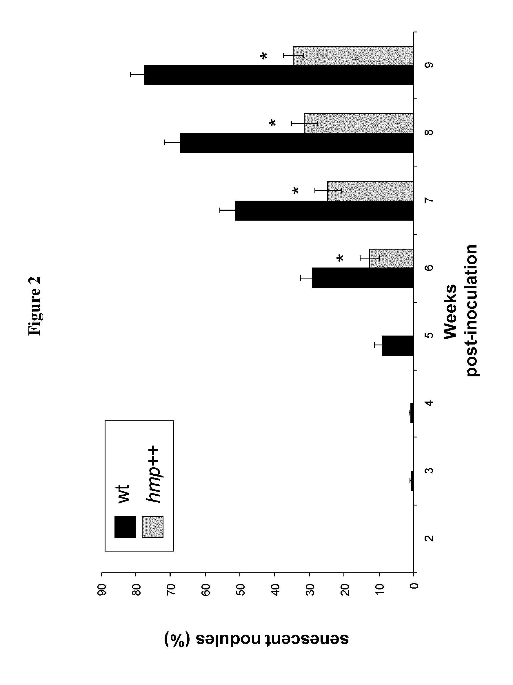 Method for increasing legume productivity by cultivating a plant with an associated rhizobium overexpressing a flavohemoglobin protein