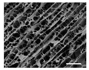 High-emulation tissue-engineered nerve repair material