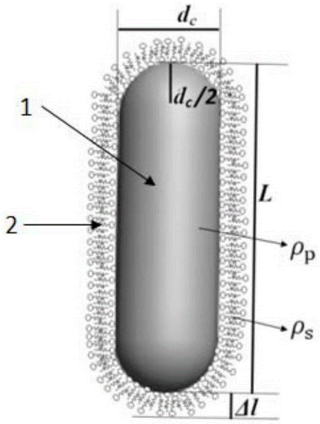 Determination method for geometrical shape of rod-like nano-particle