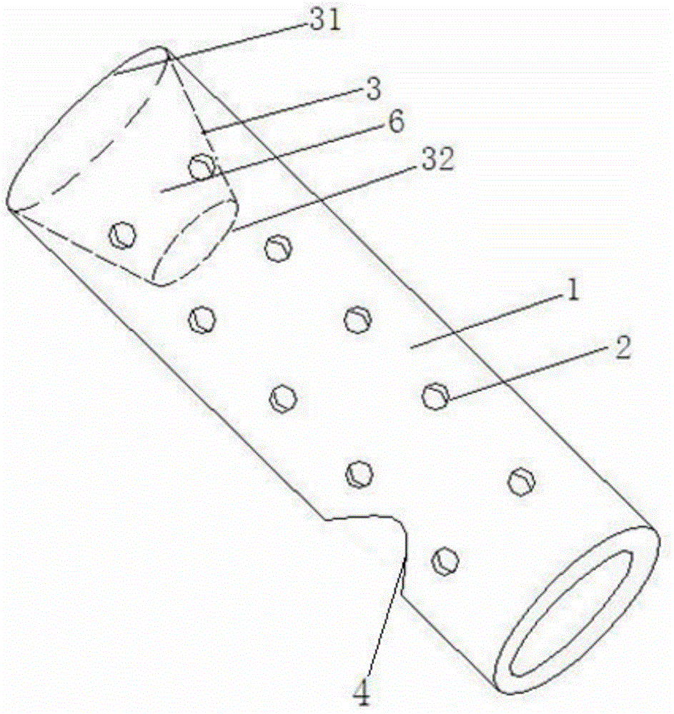 Antiseptic vagina mold