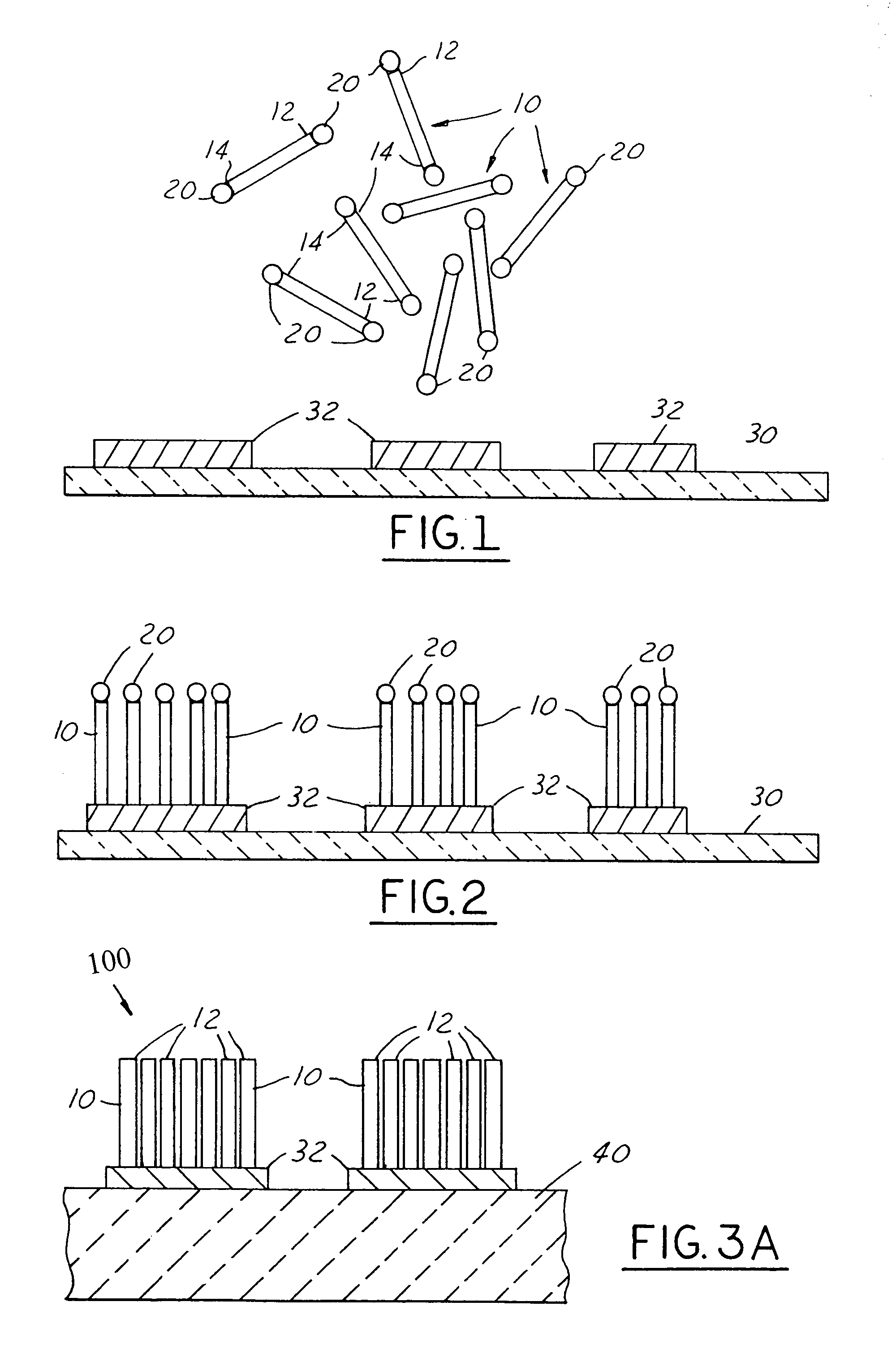 Self-assembled nanometer conductive bumps and method for fabricating