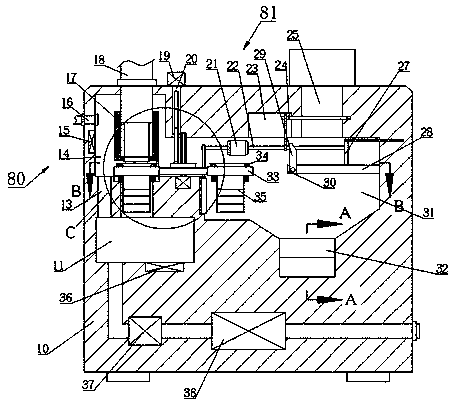 Filtering device for beer brewing