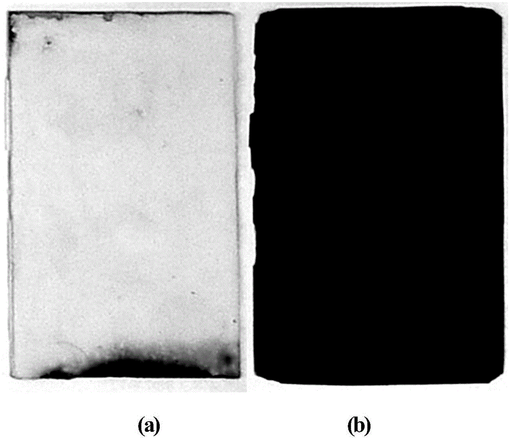 High-temperature-resistant graphene/vinyl-based resin anticorrosive coating and preparation method thereof