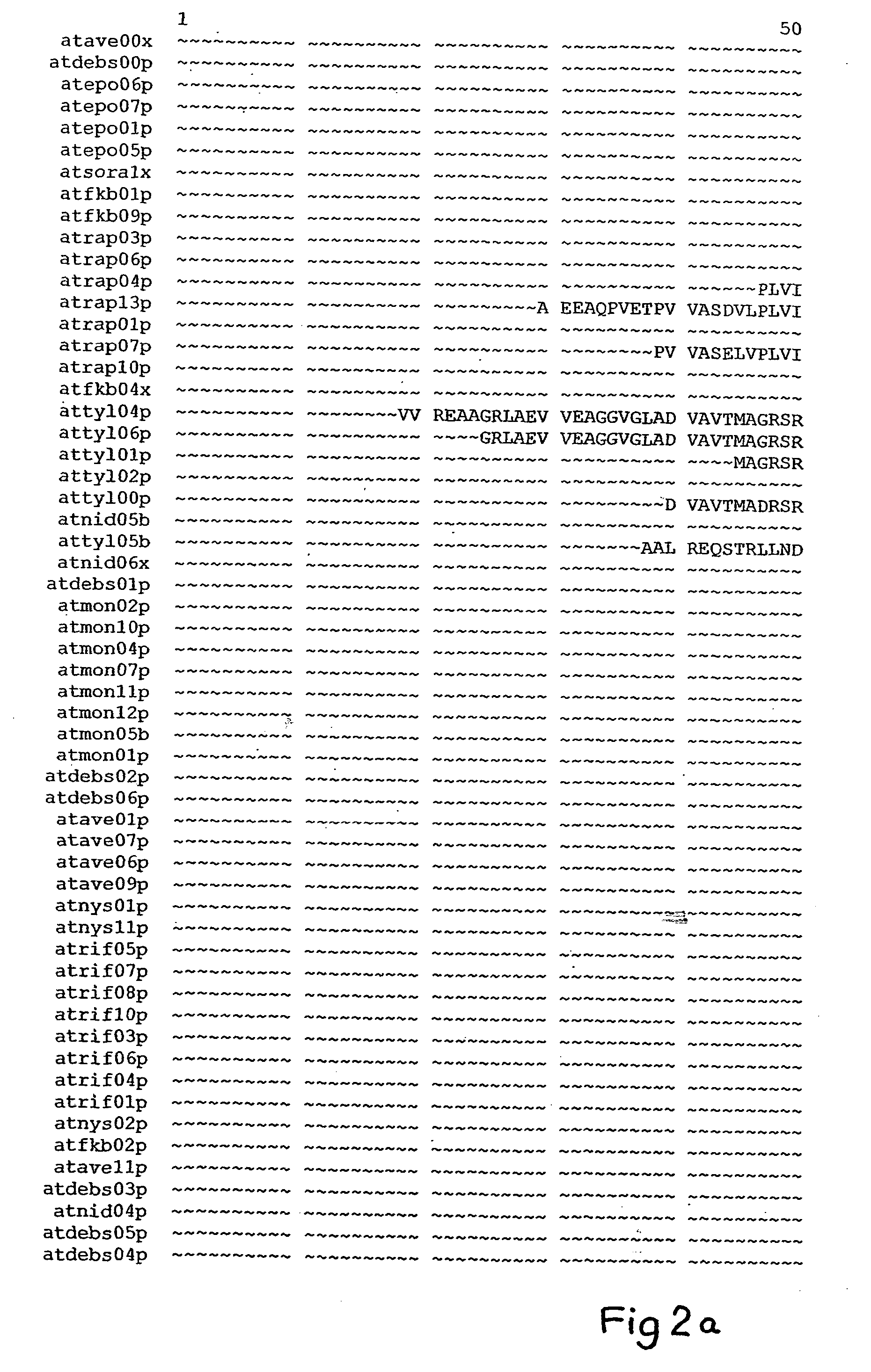 Polyketides and their synthesis