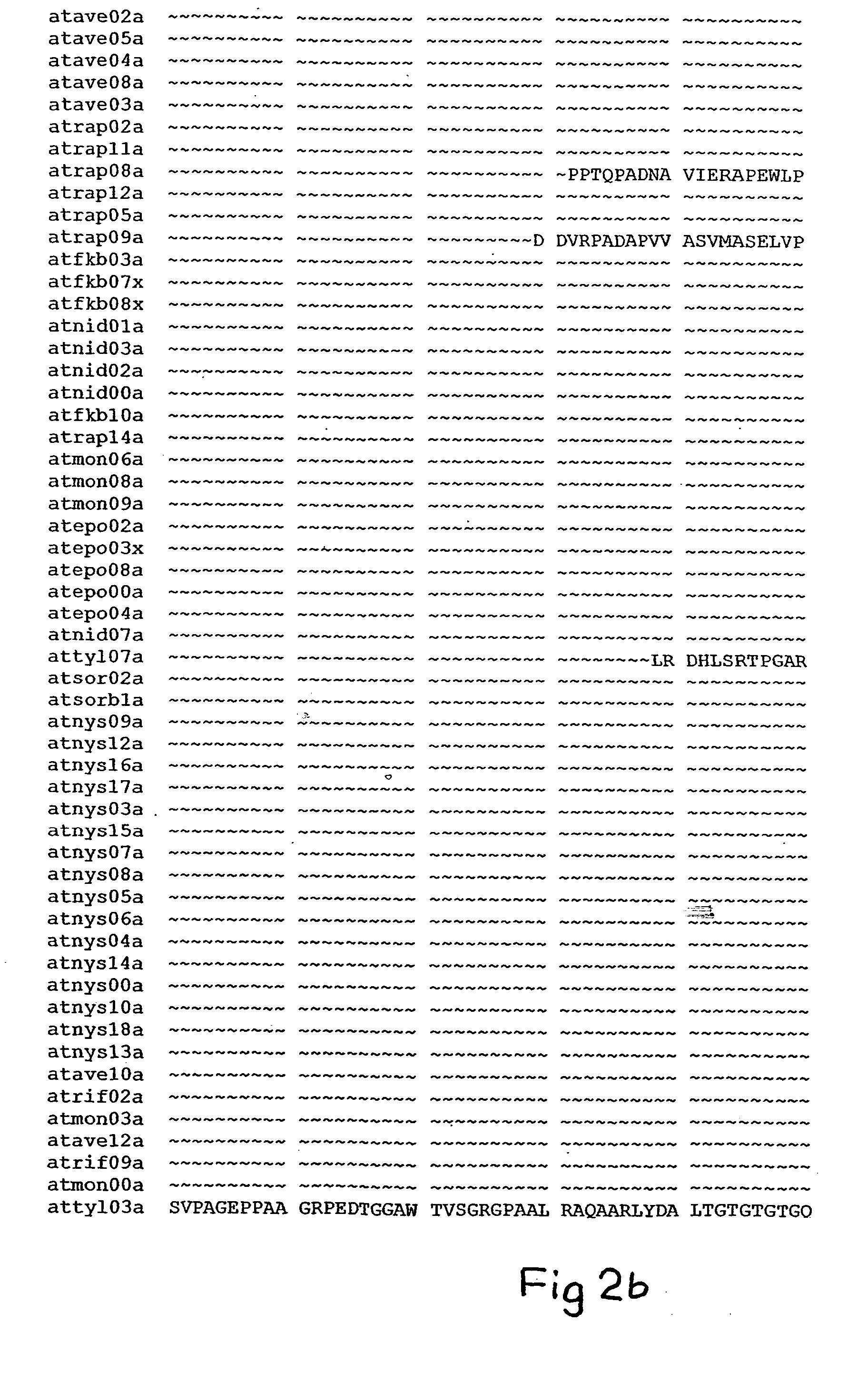 Polyketides and their synthesis