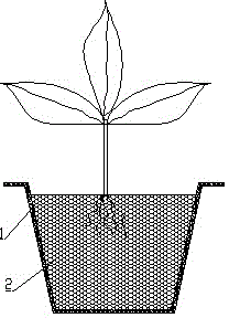 A kind of nutrient planting sand and sand planting structure