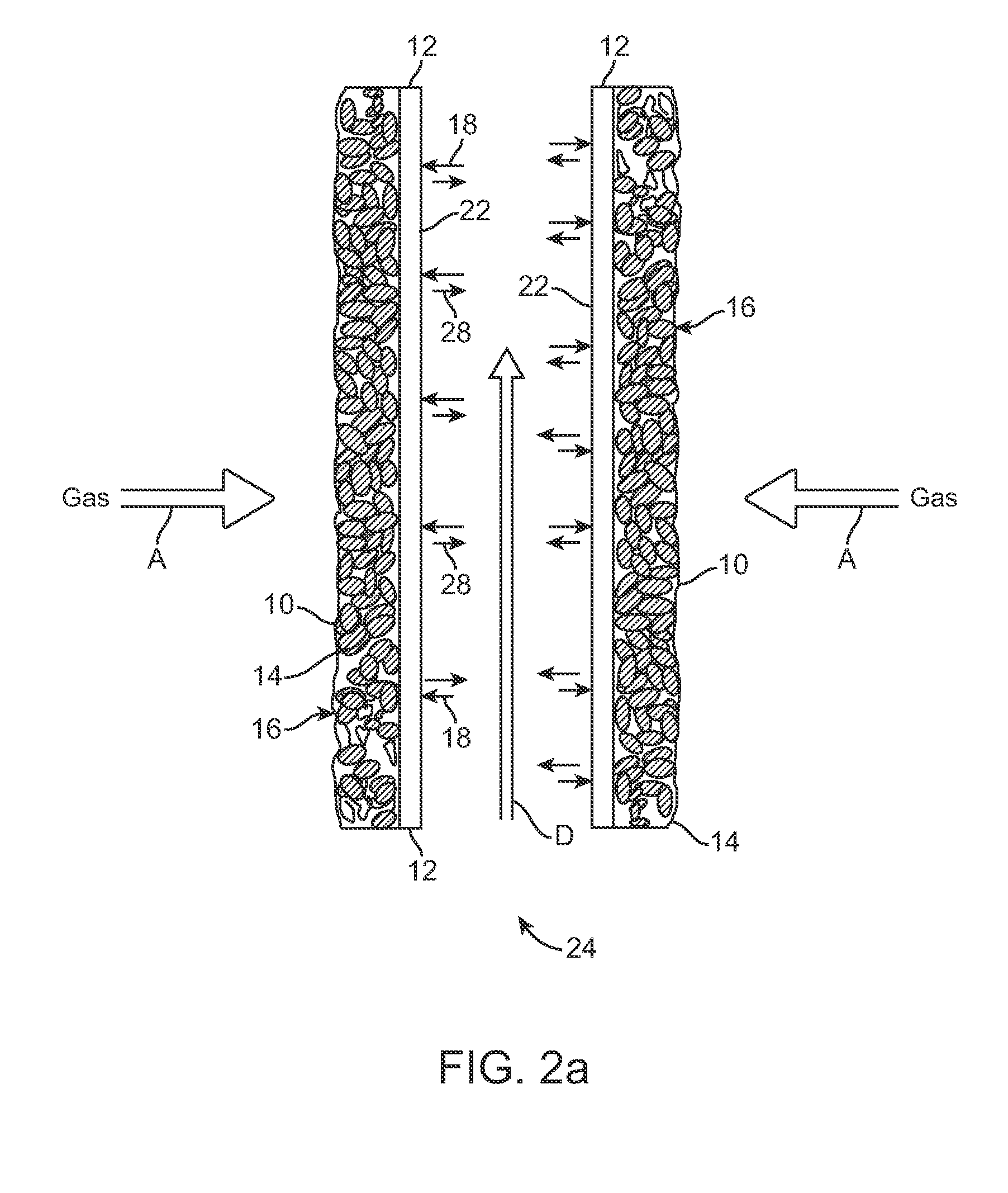 Method of conversion of syngas using microorganism on hydrophilic membrane