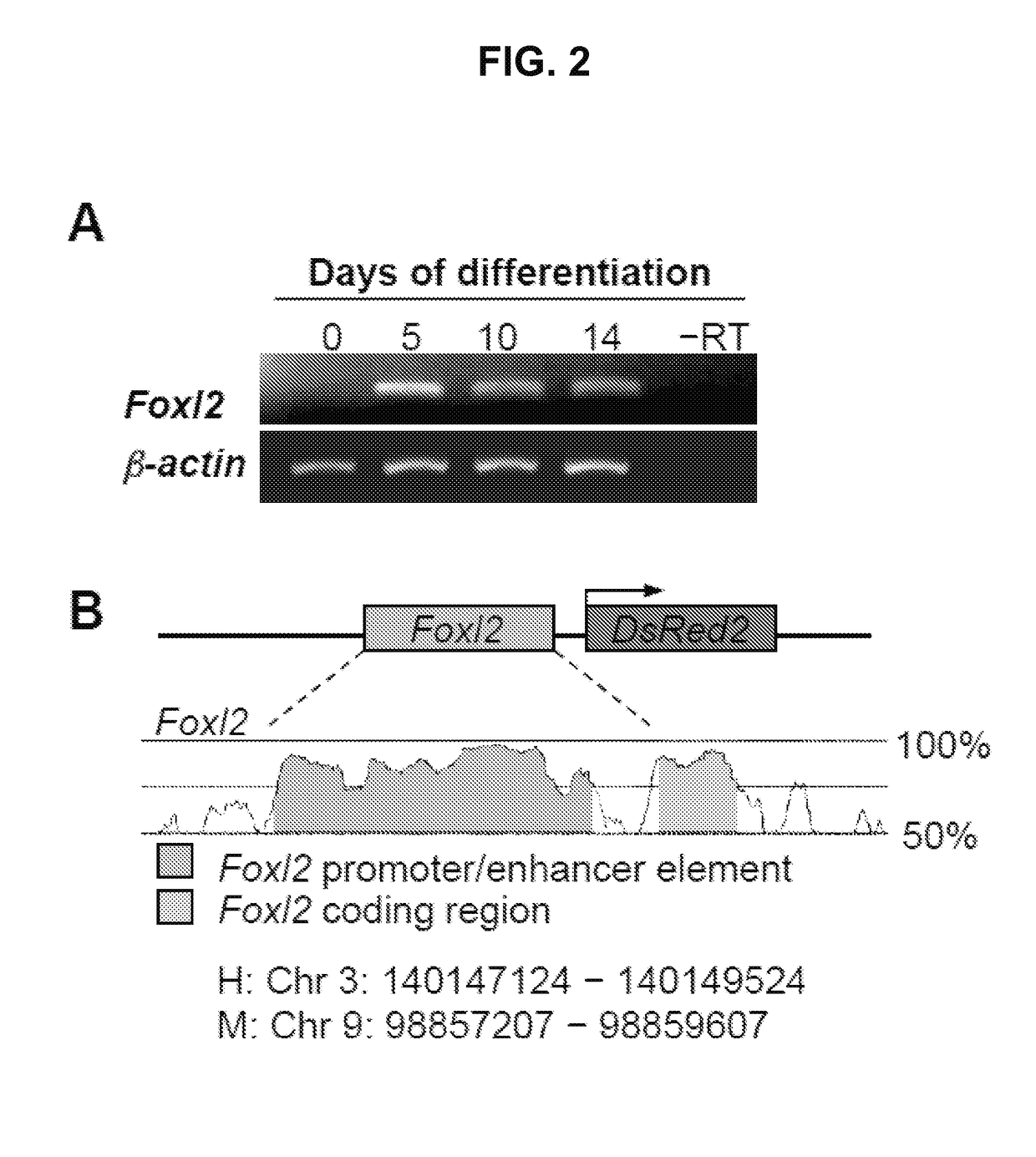 Methods for growth and maturation of ovarian follicles