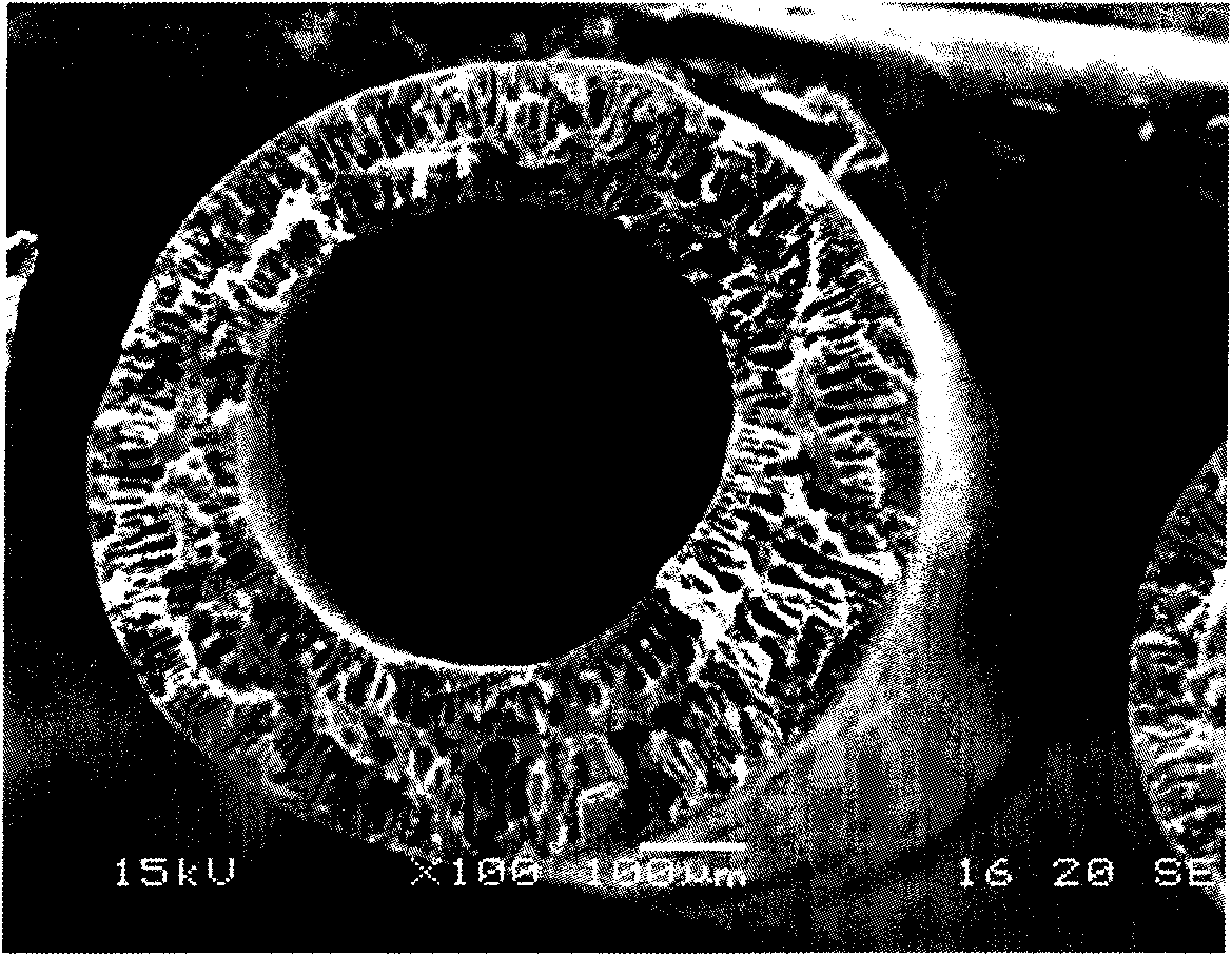 Activated carbon hollow fiber polysulfone membrane and preparation method thereof