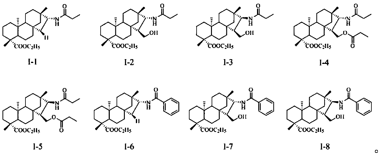 Isosteviol amide derivatives and preparation method therefor