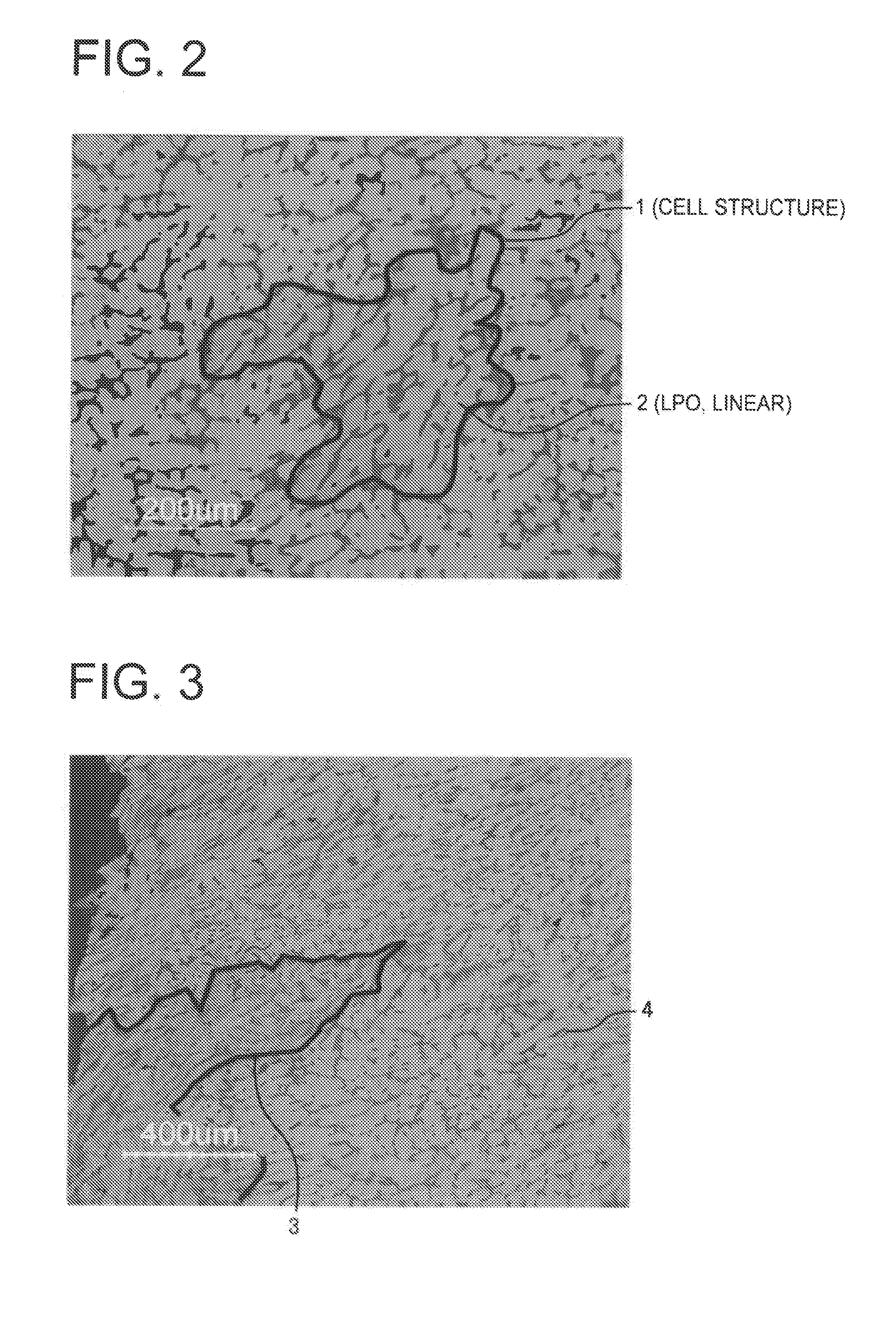 Magnesium alloy material and production process thereof