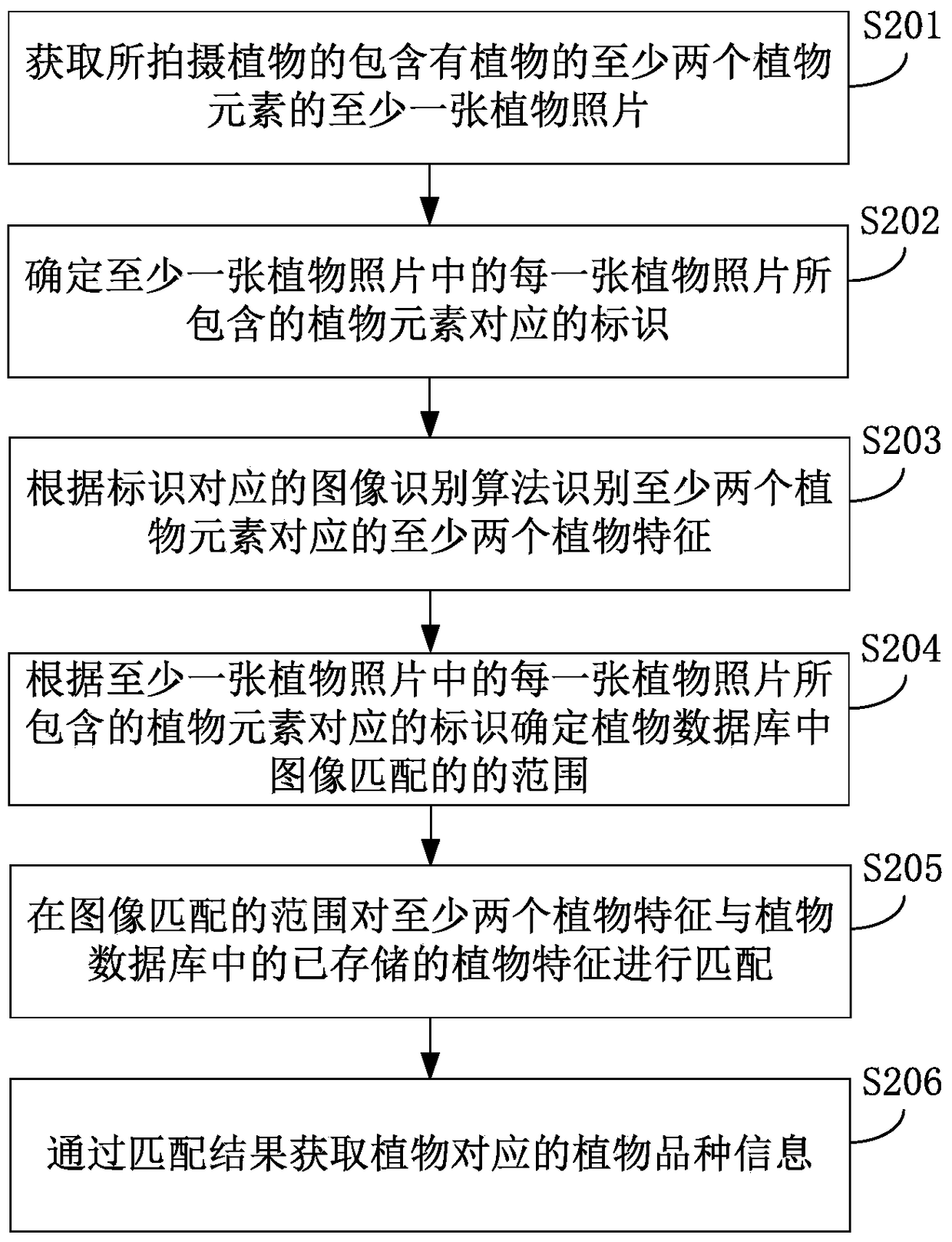 Plant variety identification method and device