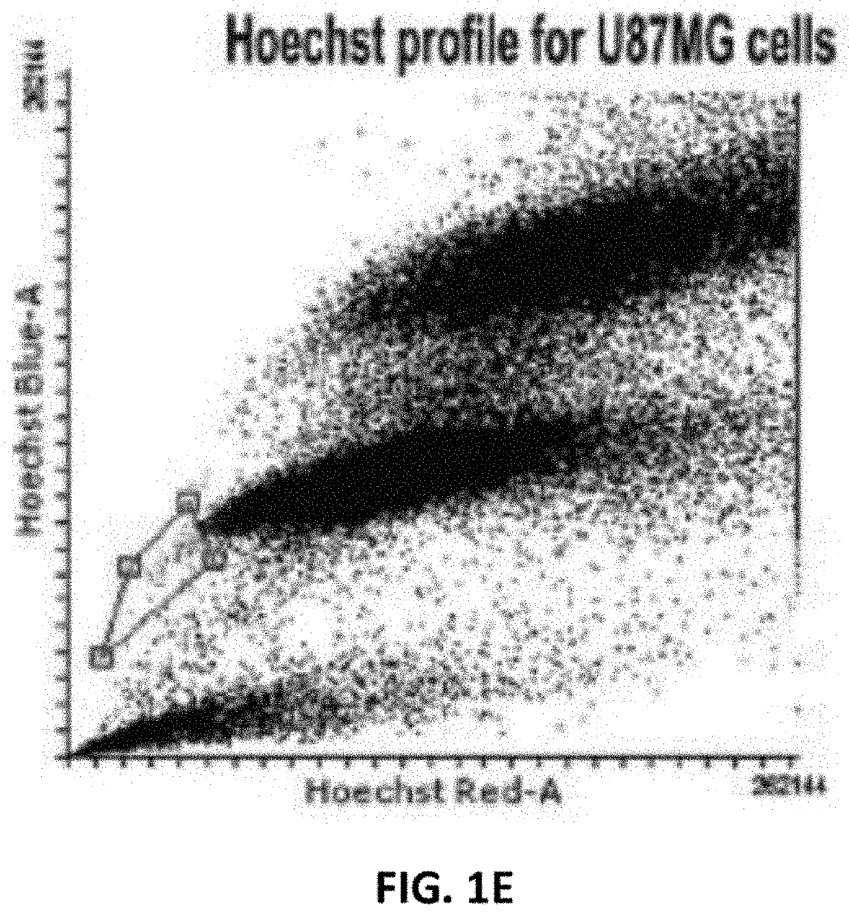 Temozolomide resistant cells and an integrated method for characterizing the same