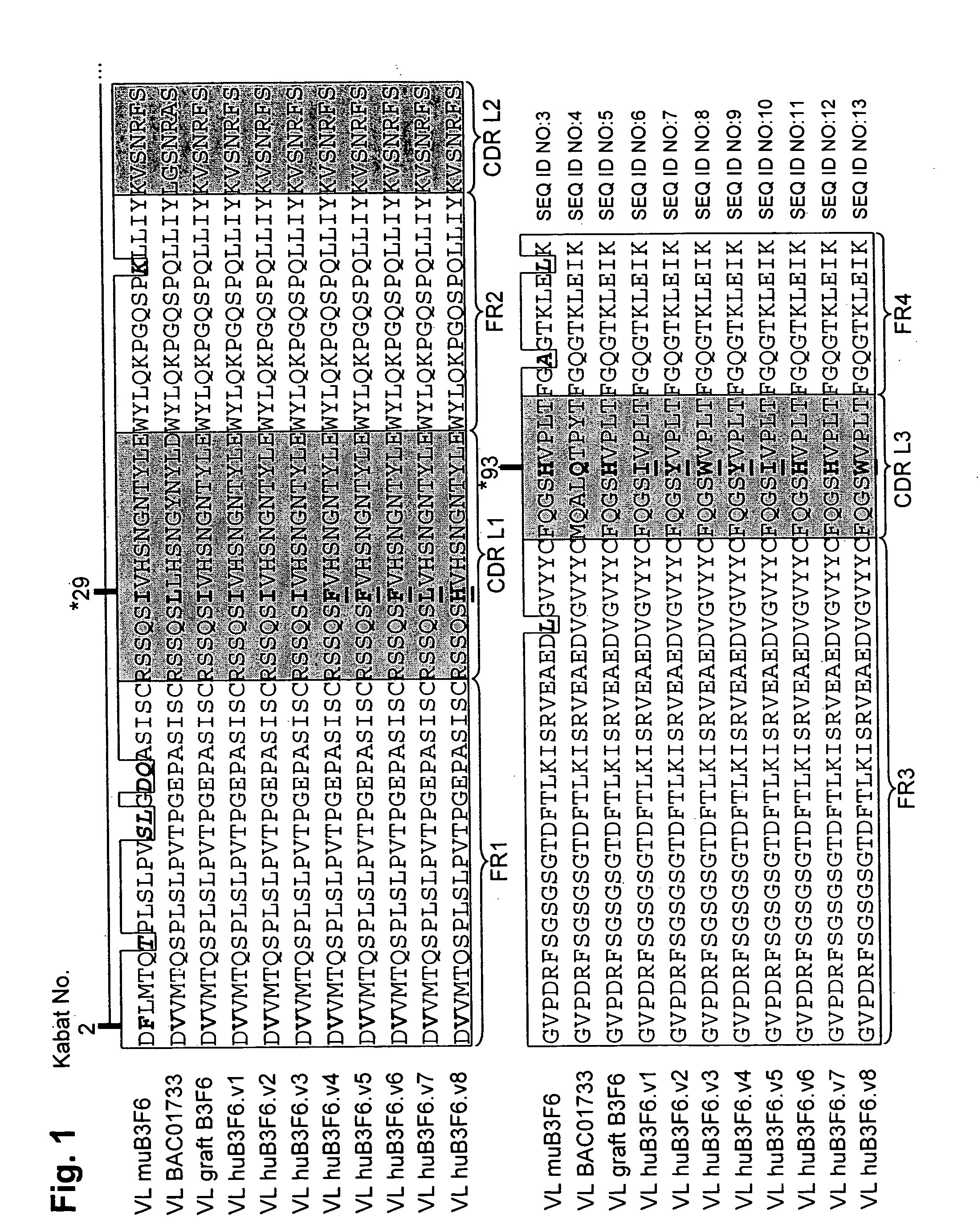 Methods of humanizing immunoglobulin variable regions through rational modification of complementarity determining residues