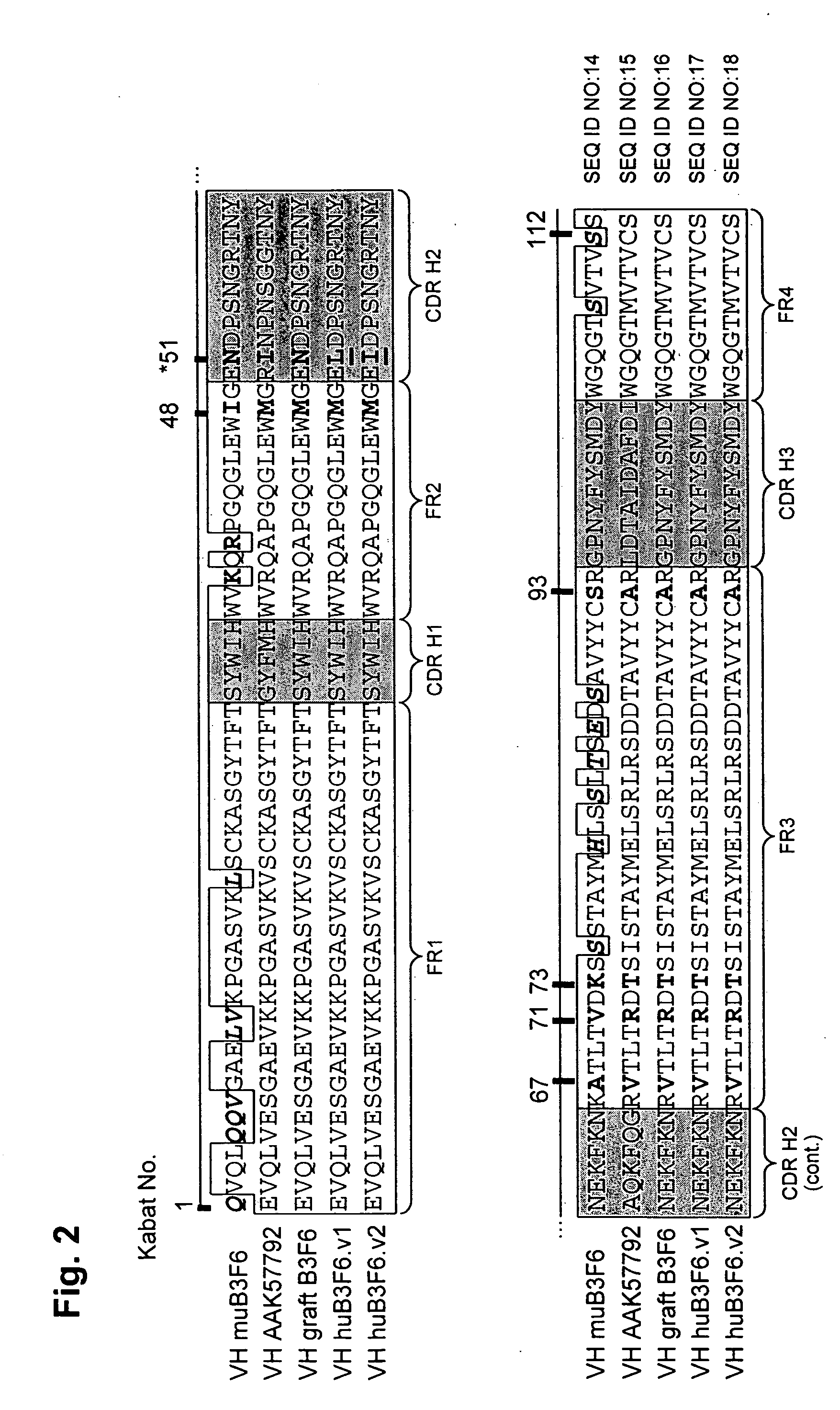 Methods of humanizing immunoglobulin variable regions through rational modification of complementarity determining residues