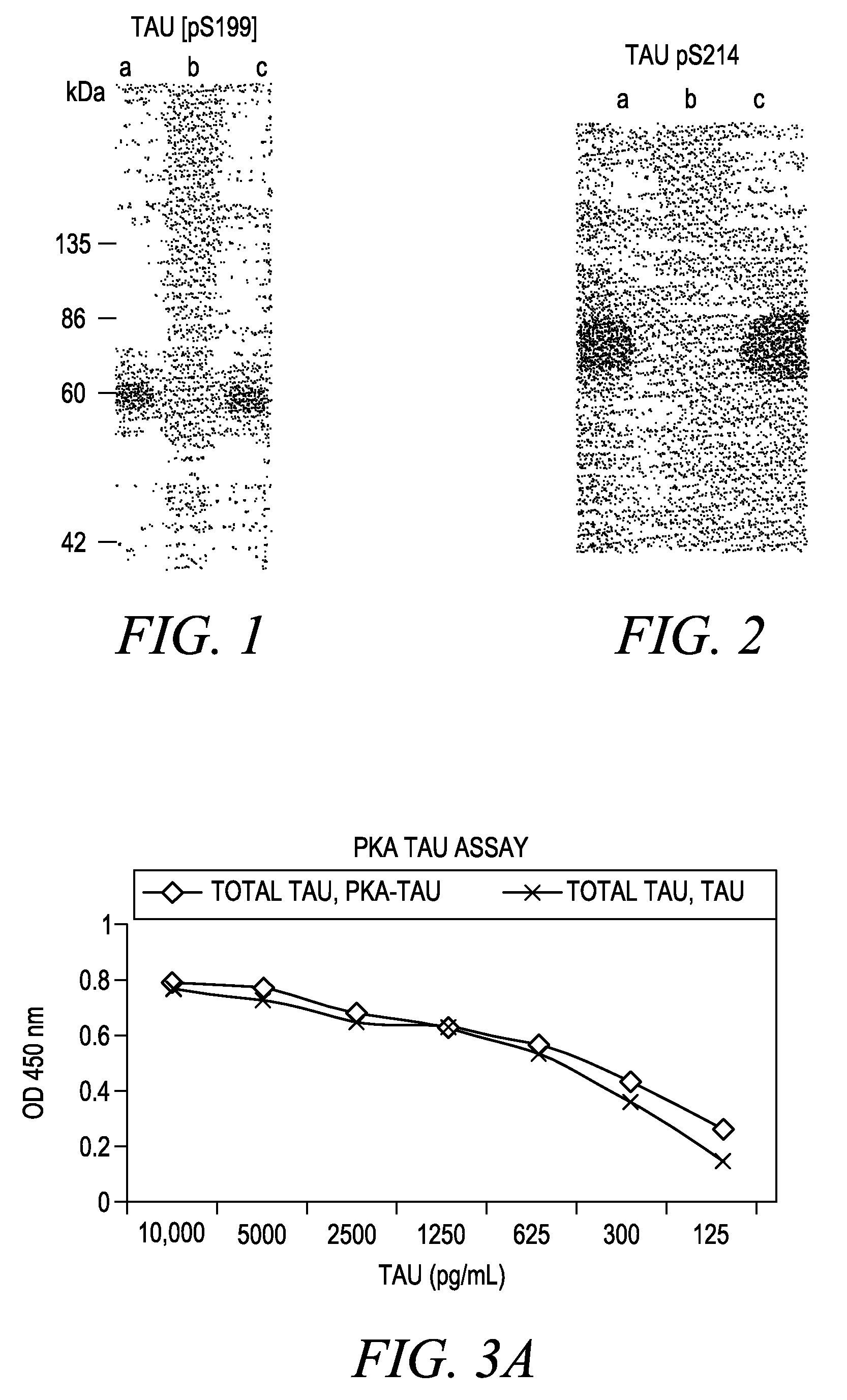 Method for quantifying phosphokinase activity on proteins