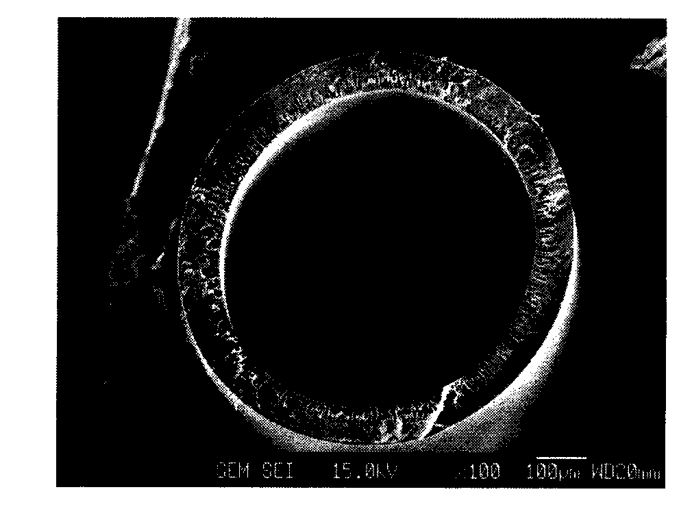 Hollow fiber, dope solution composition for forming a hollow fiber, and method for manufacturing a hollow fiber using the same