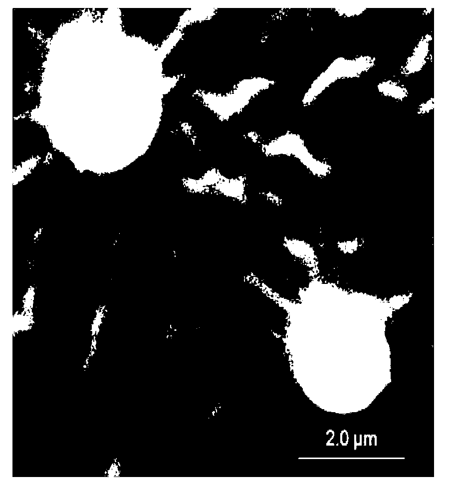 Fog seal modified emulsified asphalt and preparation method thereof