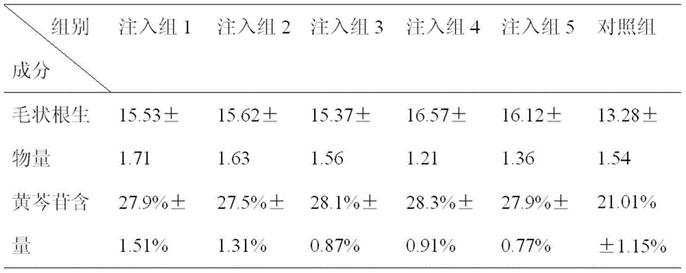 A method for improving the yield of baicalin in the hairy root of Scutellaria baicalensis