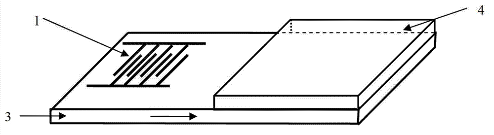 Field programmable surface acoustic wave radio frequency electronic tag