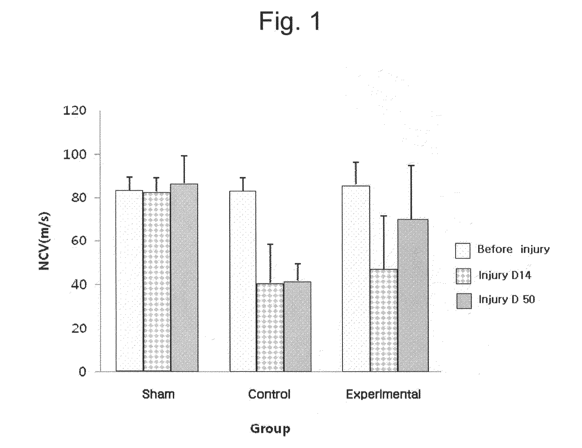 Method for treating pain induced by traumatic peripheral nerve injury by administration of G-CSF