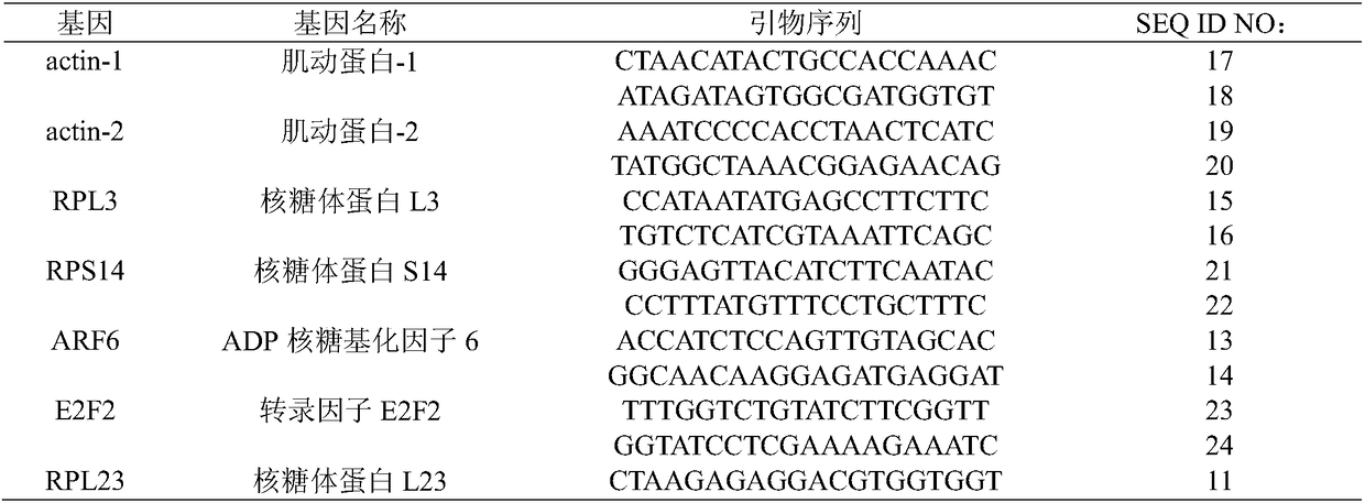 Anomala corpulenta internal reference gene and application