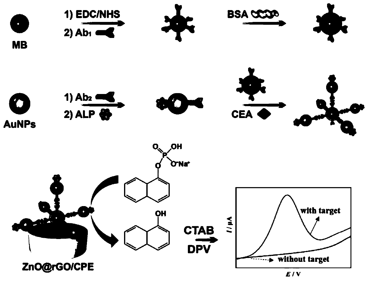 An electrochemical enzyme-linked immunosensor and its preparation and application of antigen detection