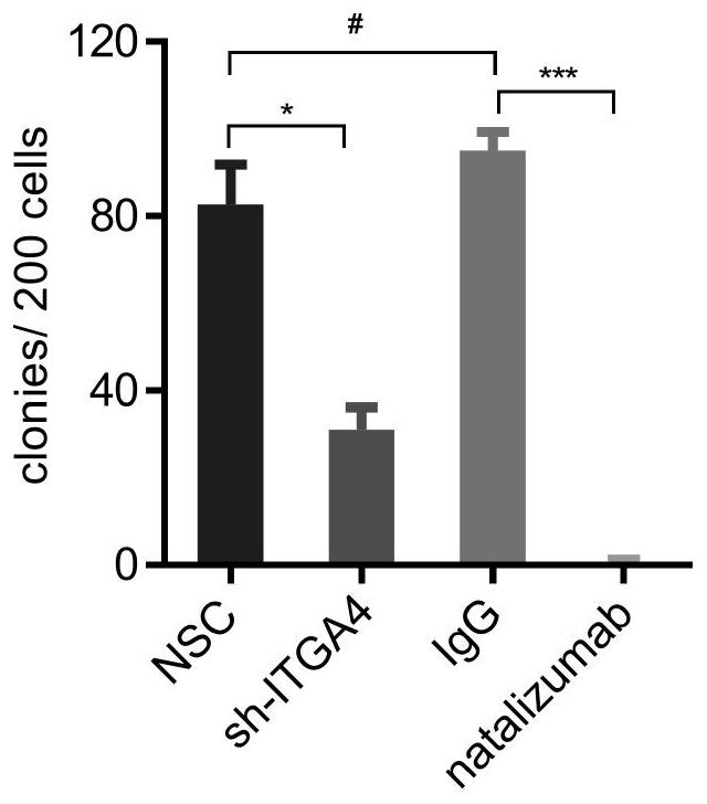 ITGA4 gene inhibitor and application of ITGA4 gene inhibitor in preparation of medicine for treating refractory or recurrent acute myelogenous leukemia