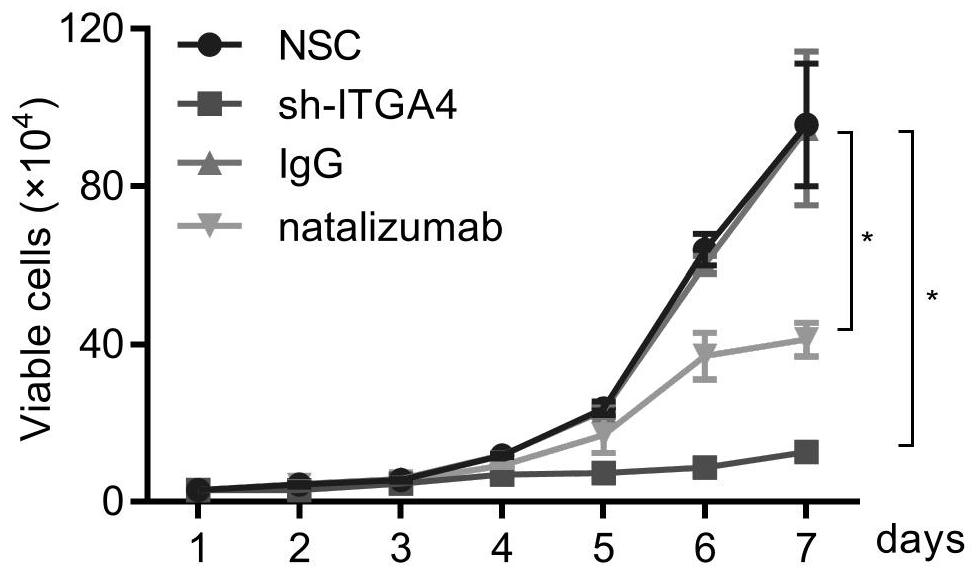 ITGA4 gene inhibitor and application of ITGA4 gene inhibitor in preparation of medicine for treating refractory or recurrent acute myelogenous leukemia