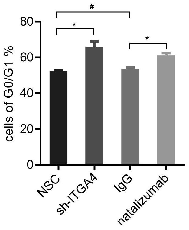 ITGA4 gene inhibitor and application of ITGA4 gene inhibitor in preparation of medicine for treating refractory or recurrent acute myelogenous leukemia