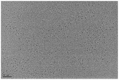 A preparation method of surface-modified colloidal silicon nanocrystals