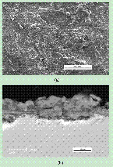 Corrosion-resistant and high-temperature-resistant coating applicable to titanium aluminum alloy and preparation method thereof