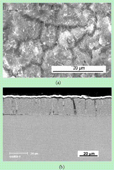 Corrosion-resistant and high-temperature-resistant coating applicable to titanium aluminum alloy and preparation method thereof